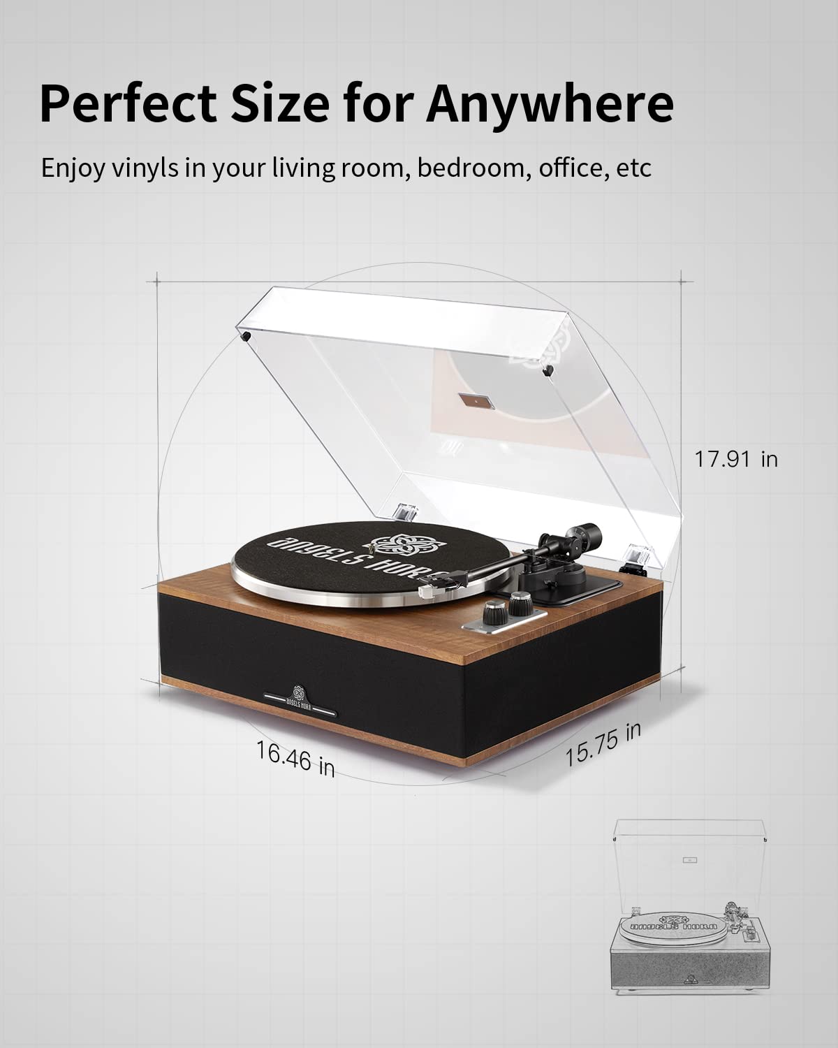 ANGELS HORN Vinyl Record Player, Bluetooth Turntable with Built in Speakers Phono Preamp, High Fidelity Turntables for Vinyl Records with Magnetic