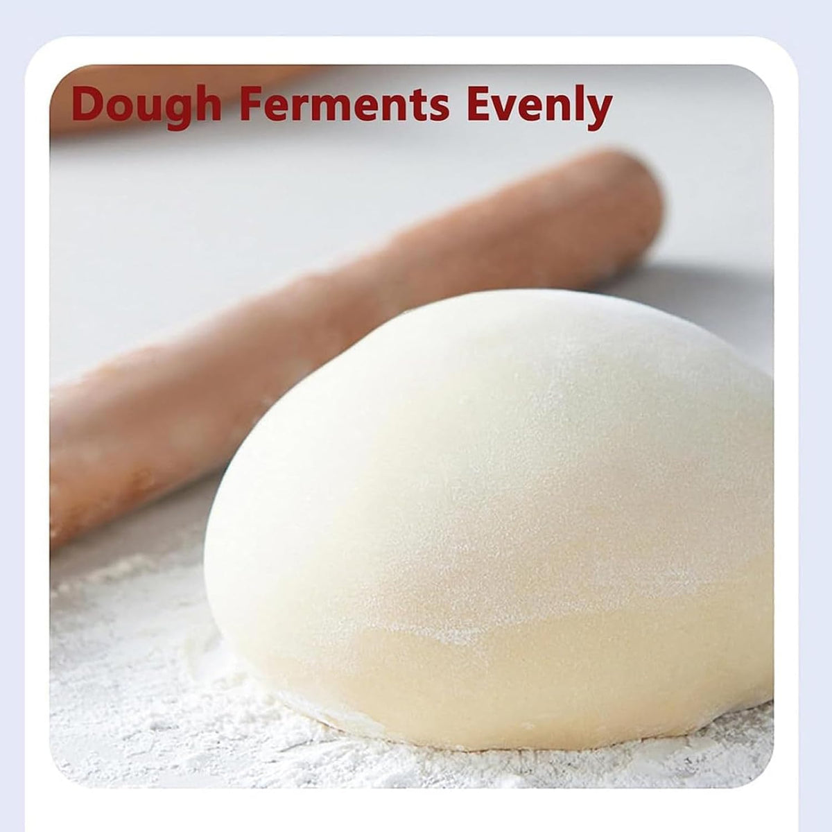 40L Bread Proofing Box, Electric Dough Proofer Machine for Home Use, 450mmx330mm Large Size Inner Cavity, Adjustable Temperature +Timing(1min-24h)