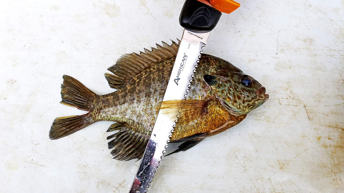 American Angler PRO Electric Fillet Knife Professional Grade Fisherman's Kit C Includes 5 Types of Stainless Steel Blades, Storage Pouch, and