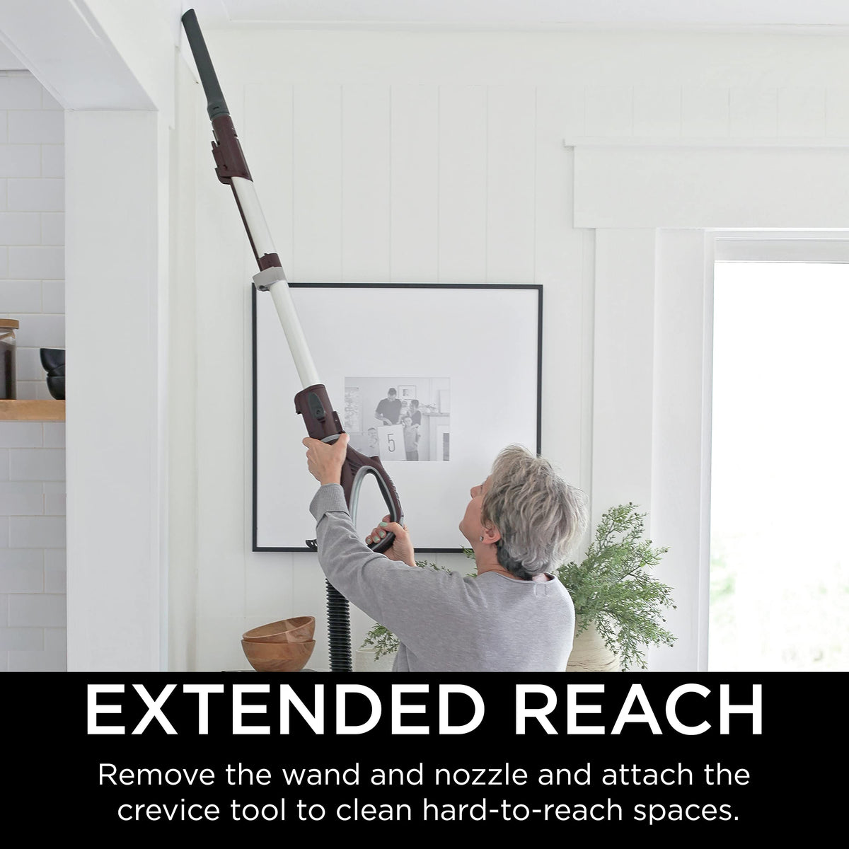 Shark NV501 Rotator Professional Lift-Away Upright Vacuum with HEPA Filter, Swivel Steering, LED Headlights, Wide Upholstery Tool, Dusting Brush &