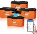 ECO-WORTHY 4-Pack 12V 314Ah LiFePO4 Accu met Bluetooth, 1256Ah/16076Wh, 200A BMS, Laagtemperatuurbescherming, Tot 15000 Cycli, Lithium Batterij voor Camper, Zonnepanelen, Caravan en Thuisenergieopslag