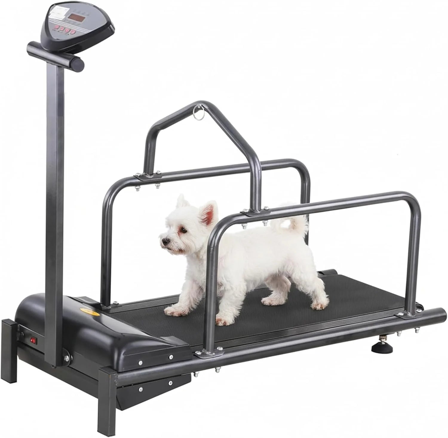 Loopband Voor Huisdieren 80 Cm Lange Startbaan, Loopband Voor Kleine Honden Thuis, Honden Binnen Buiten Hardlooptrainingsapparatuur Met Beeldscherm Voor Kleine Huisdieren Oefening, Snelheidsregeling(c100/110*42*93cm)